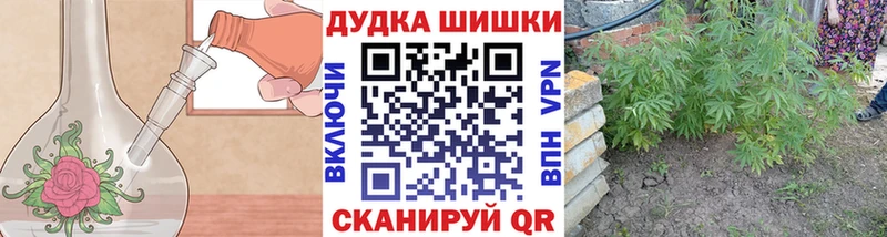Бошки Шишки THC 21%  МЕГА ТОР  Сорочинск  купить  